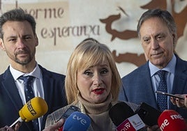 La consejera de Industria, Comercio y Empleo, Leticia García, este martes.