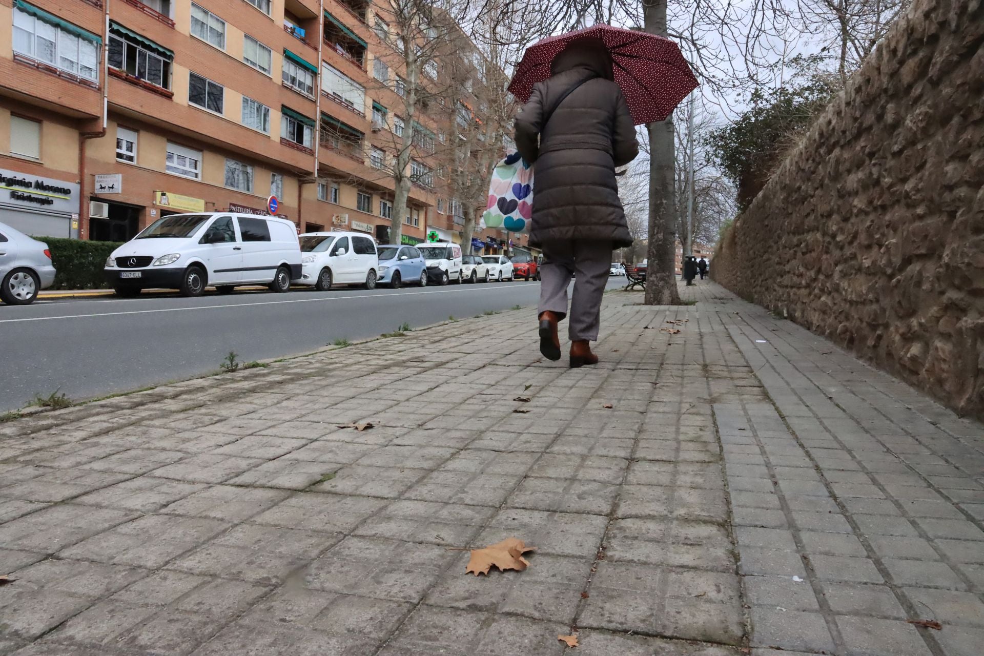 Los desperfectos de Santa Teresa-Puente de Hierro, en imágenes