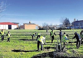 Vecinos de Villasarracino, en una plantación de árboles, en una imagen de archivo.