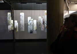 'Tempus fugit' en el Museo de Palencia