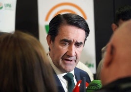 El consejero de Medio Ambiente, Juan Carlos Suárez-Quiñones.