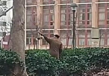 Denunciado por alimentar a las palomas en el parque de la Paz