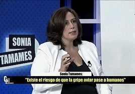 Captura de vídeo de la intervención de la directora general de Salud Pública de la Junta, Sonia Tamames, en Castilla y León Televisión.