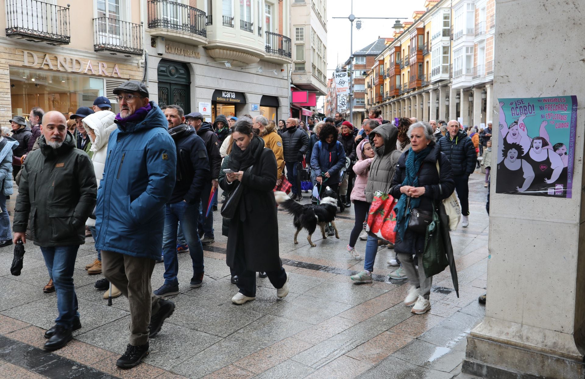 Palencia se tiñe de morado por el 8M