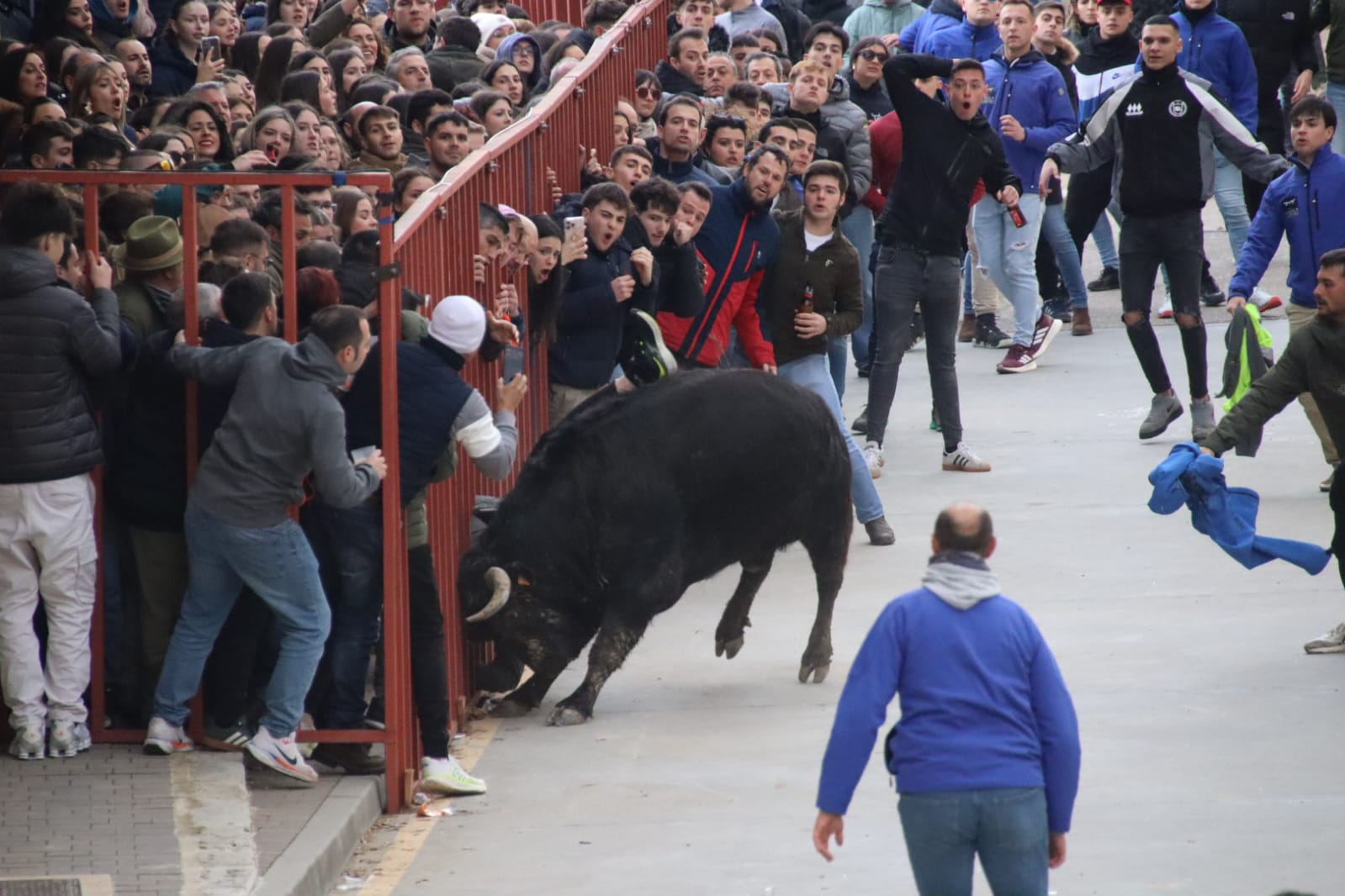 Secuencia de la aparatosa cogida a un aficionado en el Toro de Carnaval de Rioseco
