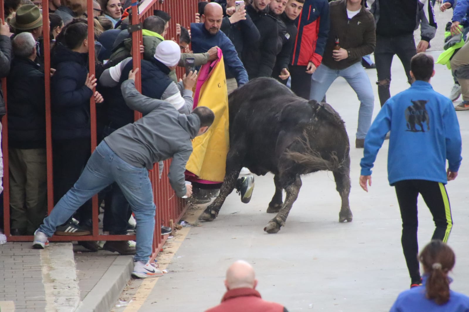 Secuencia de la aparatosa cogida a un aficionado en el Toro de Carnaval de Rioseco