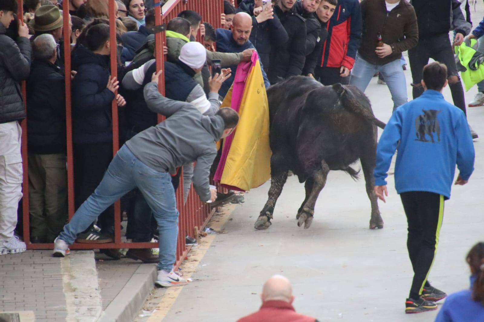 Secuencia de la aparatosa cogida a un aficionado en el Toro de Carnaval de Rioseco