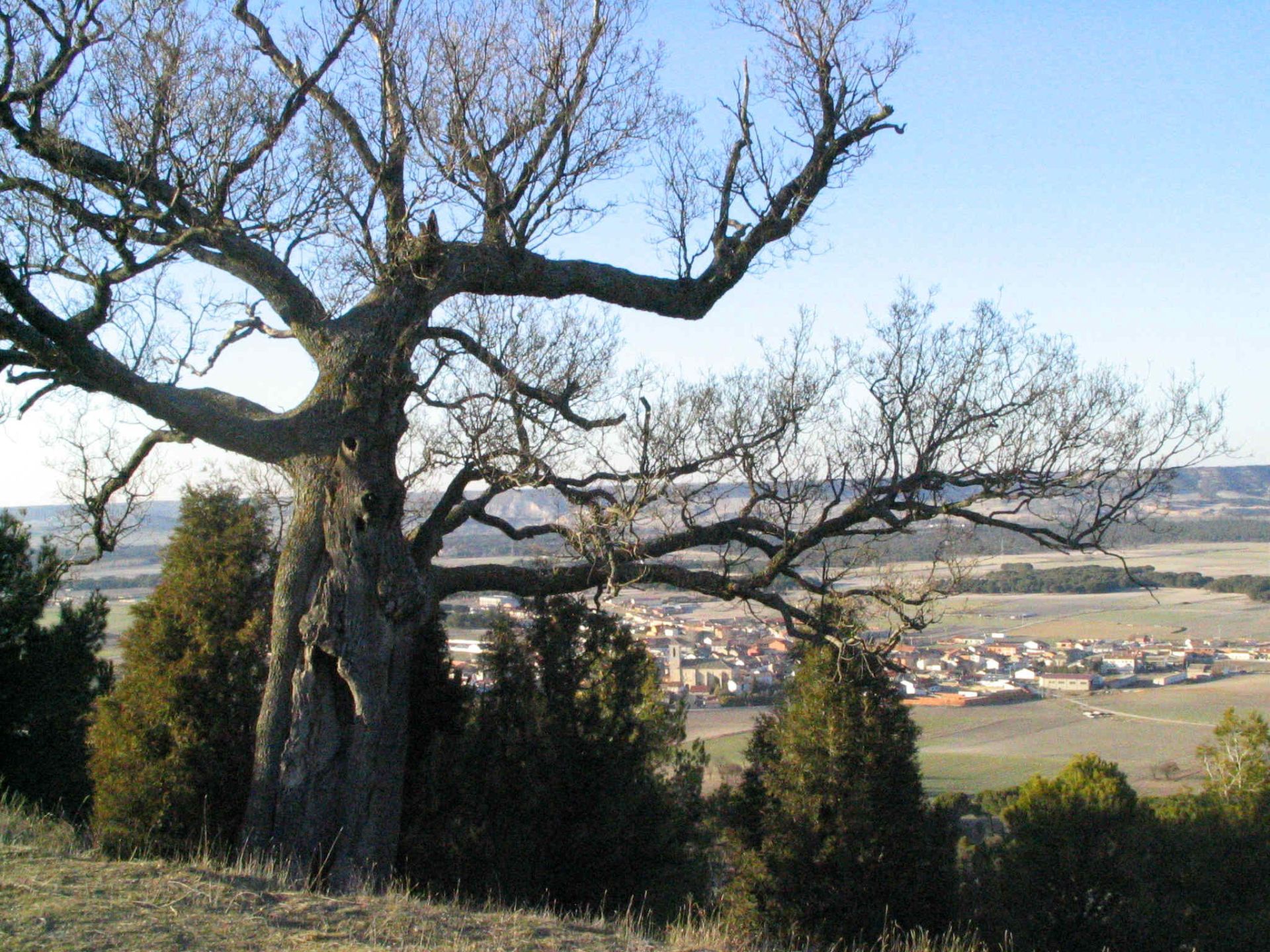 Vista de Traspinedo desde el mirador de la Atalaya. 13 de marzo de 2005.