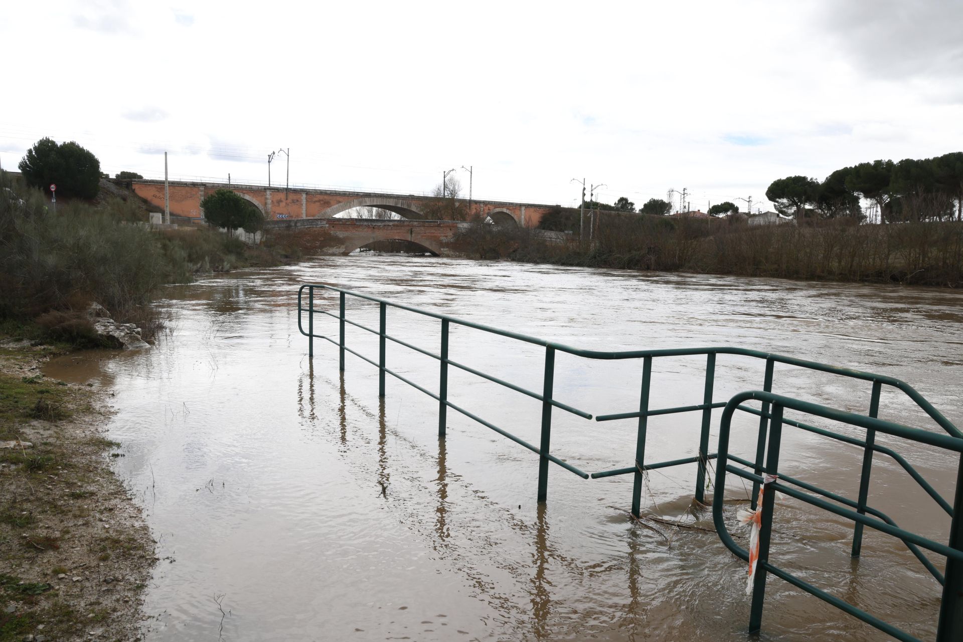 La crecida del río Cega, en imágenes