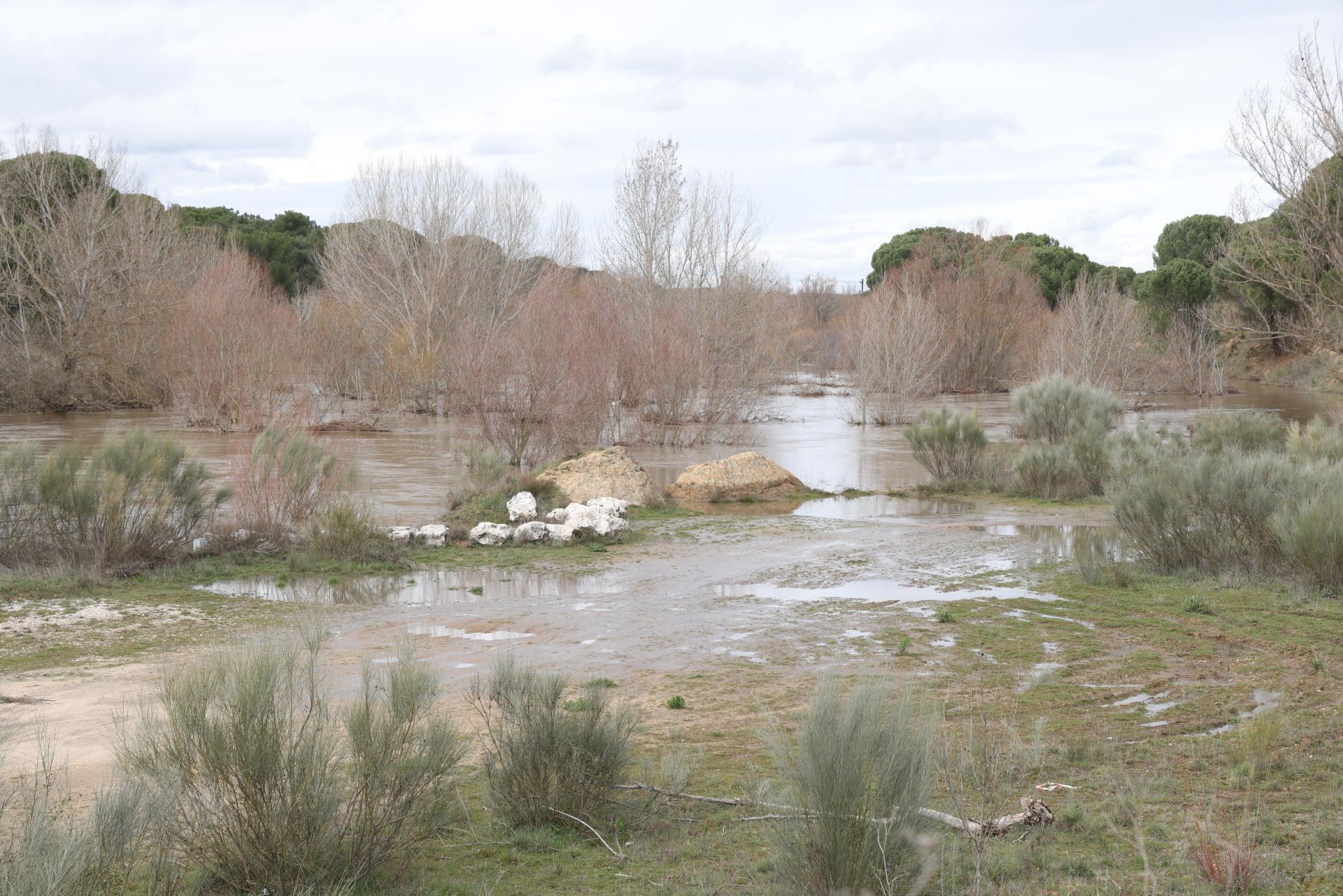La crecida del río Cega, en imágenes