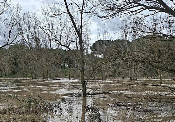 Zona afectada por la crecida en Villanueva de Duero.