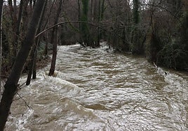 El río Eresma, este domingo a su paso por Segovia capital.