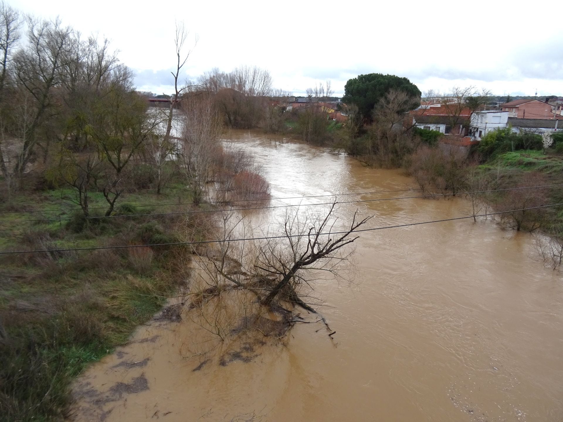 Las imágenes del Duero desbordado en Valladolid