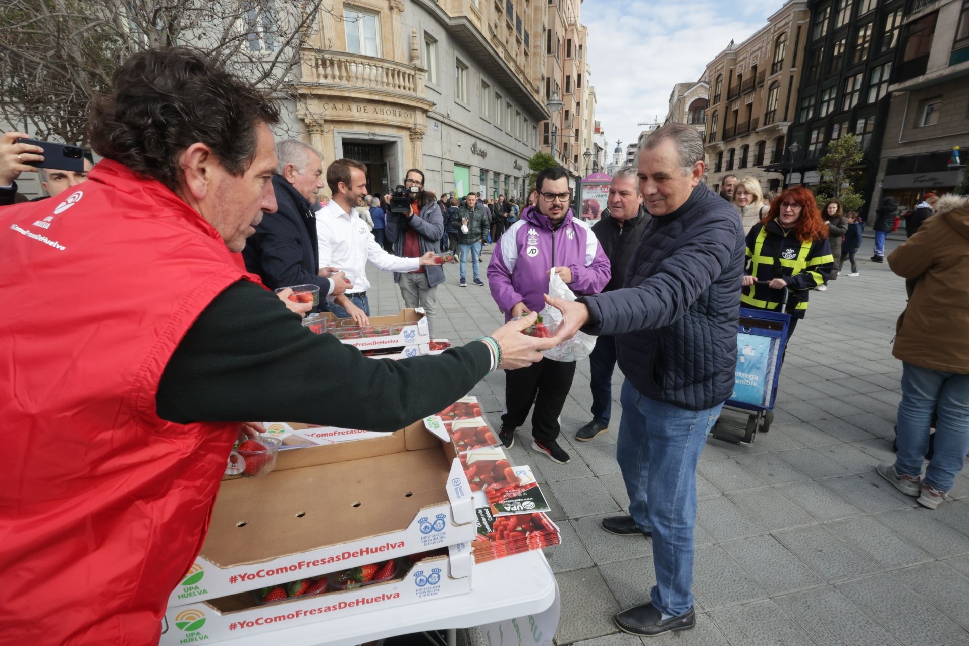 Así ha sido la entrega de las fresas gratis en la plaza de Zorrilla