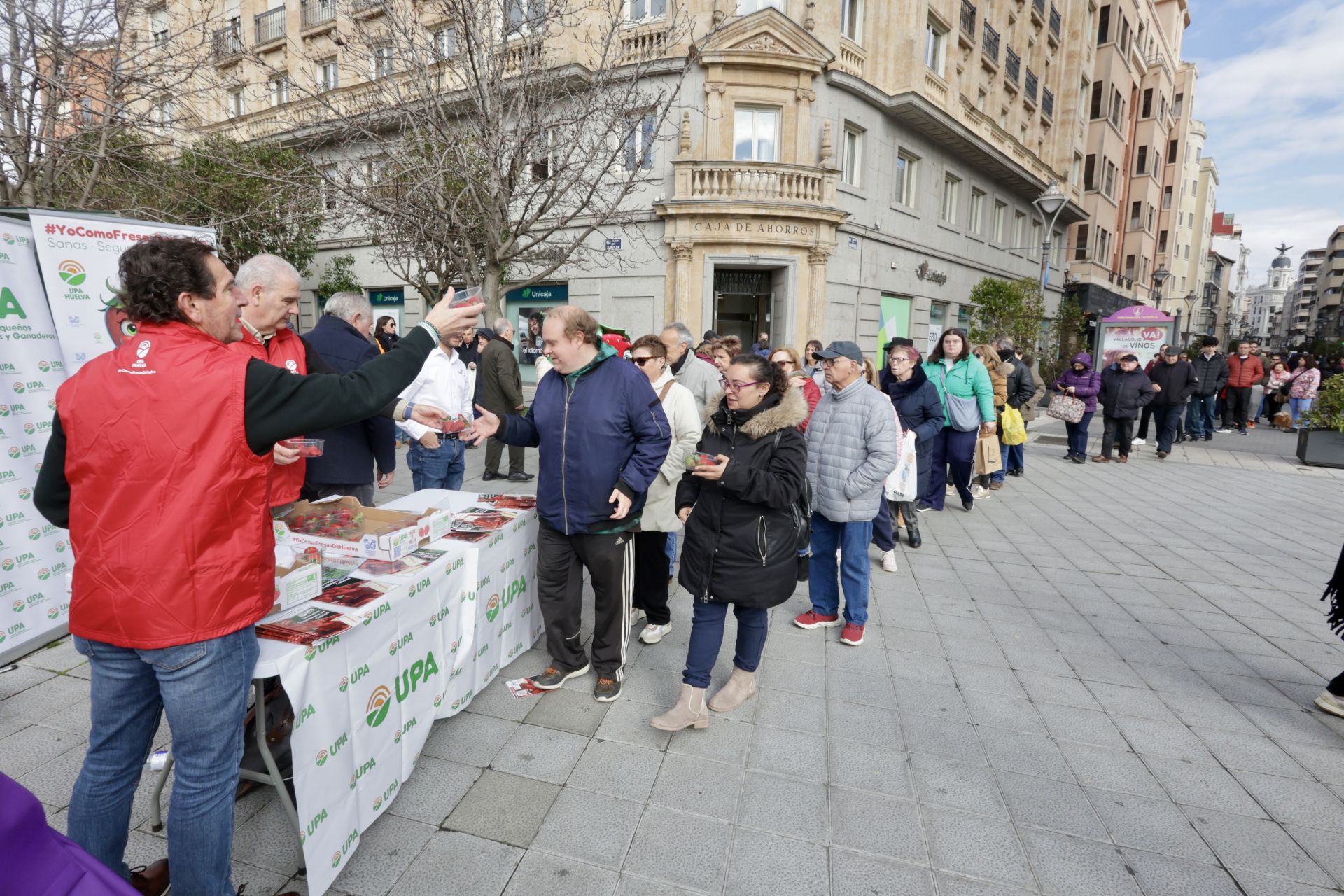 Así ha sido la entrega de las fresas gratis en la plaza de Zorrilla
