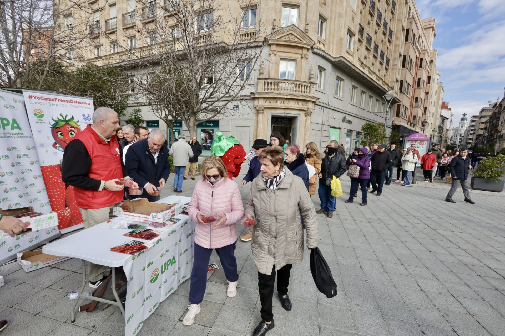 Así ha sido la entrega de las fresas gratis en la plaza de Zorrilla