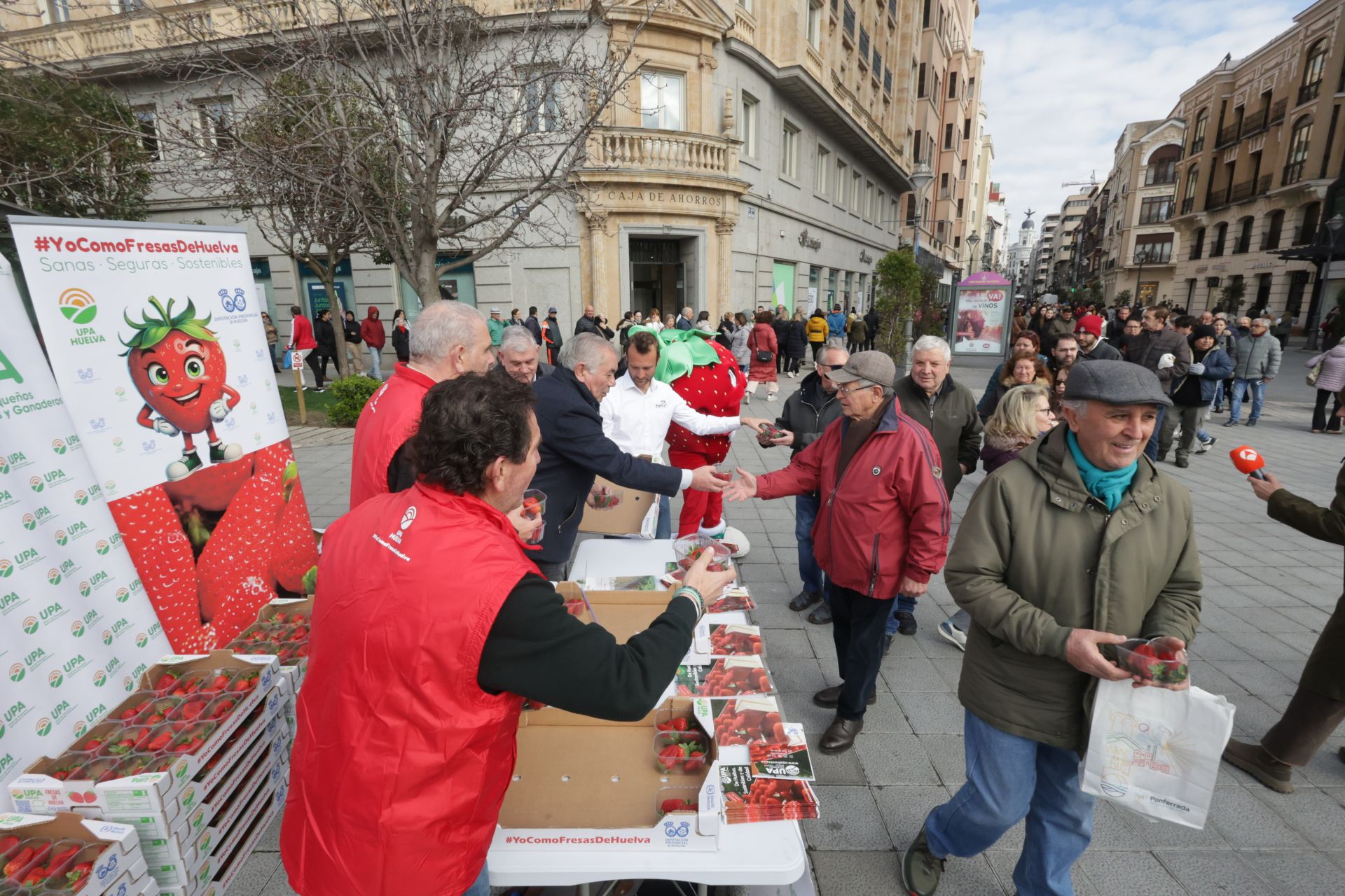 Así ha sido la entrega de las fresas gratis en la plaza de Zorrilla