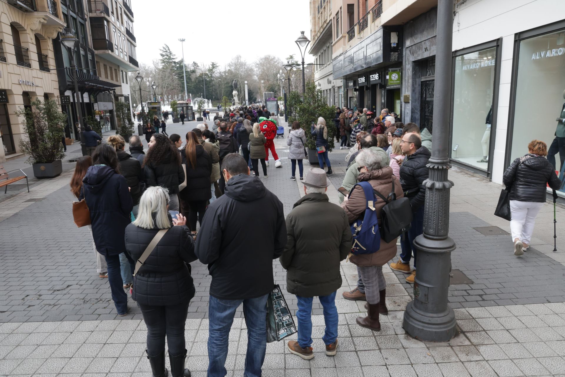 Así ha sido la entrega de las fresas gratis en la plaza de Zorrilla