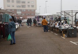 Celebración del mercadillo en Palencia.