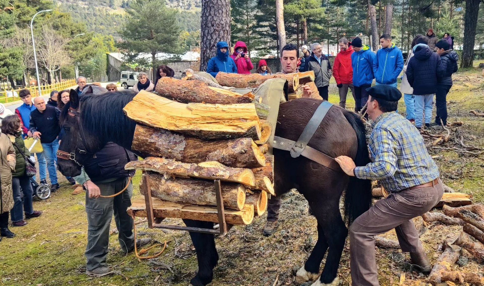 Fotos de la fiesta de Los Gabarreros en El Espinar