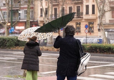 Toda Castilla y León excepto Burgos y Soria, en alerta por fuertes vientos