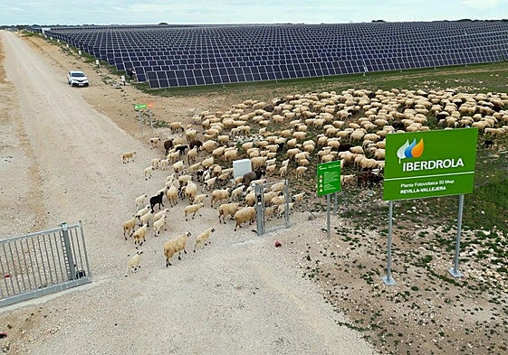 Revilla Vallejera (Burgos), un refugio para la diversidad de Iberdrola.