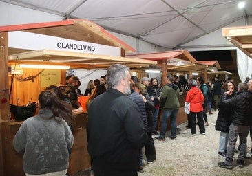 Cuéllar contará con seguridad privada en sus ferias y fiestas