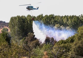 Imagen de archivo de un incendio forestal en la comarca de Ciudad Rodrigo.
