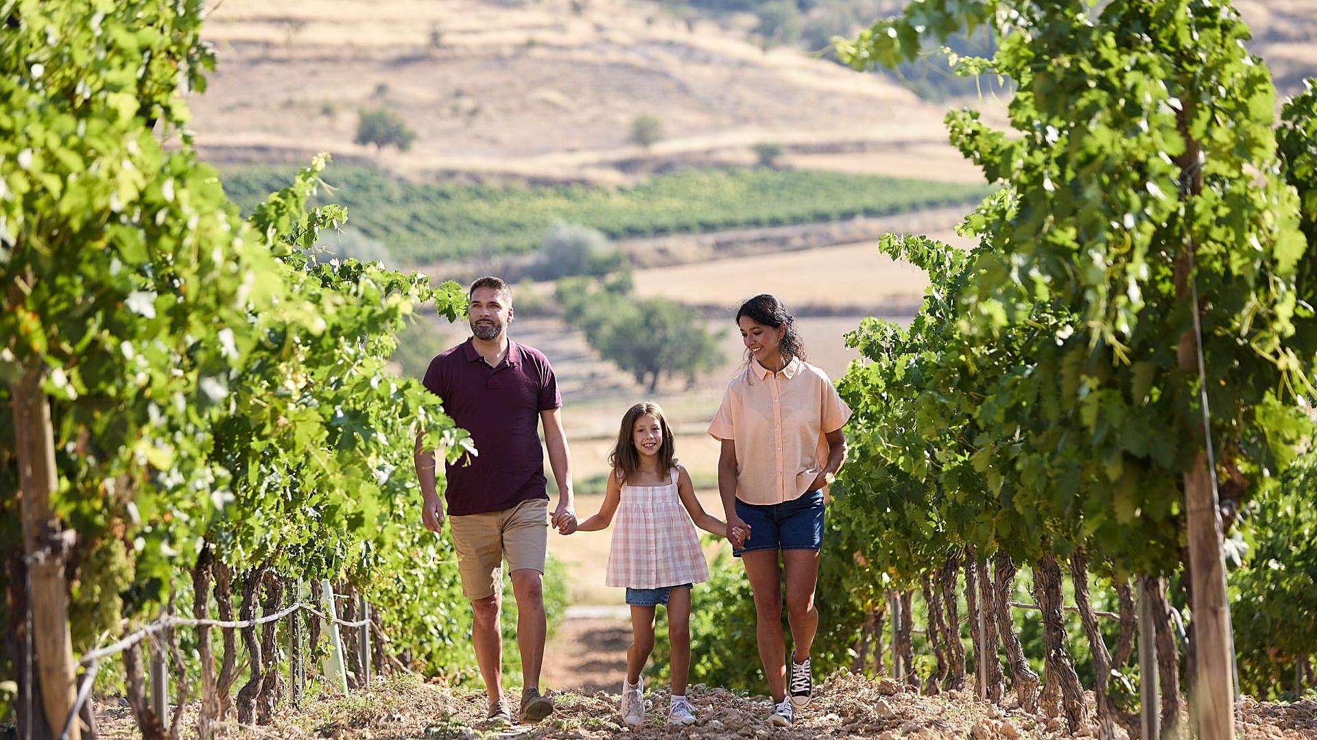 La Ruta del Vino Ribera del Duero, una experiencia enoturística que marida gastronomía, cultura y emociones