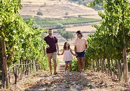 La Ruta del Vino Ribera del Duero es una opción ideal para escapadas familiares de fin de semana o viajes culturales.