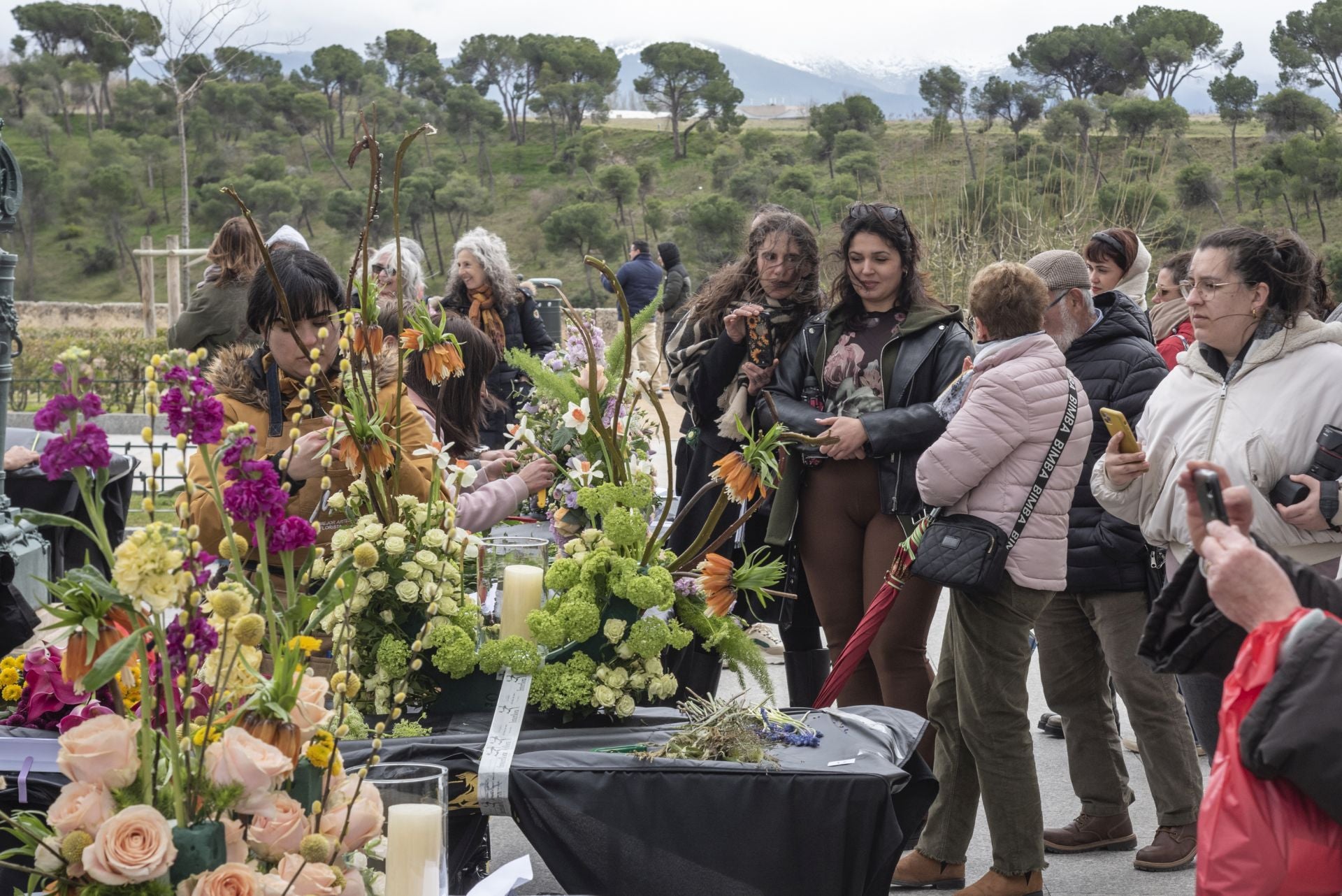 Fotos: Segovia busca al mejor artesano florista de España