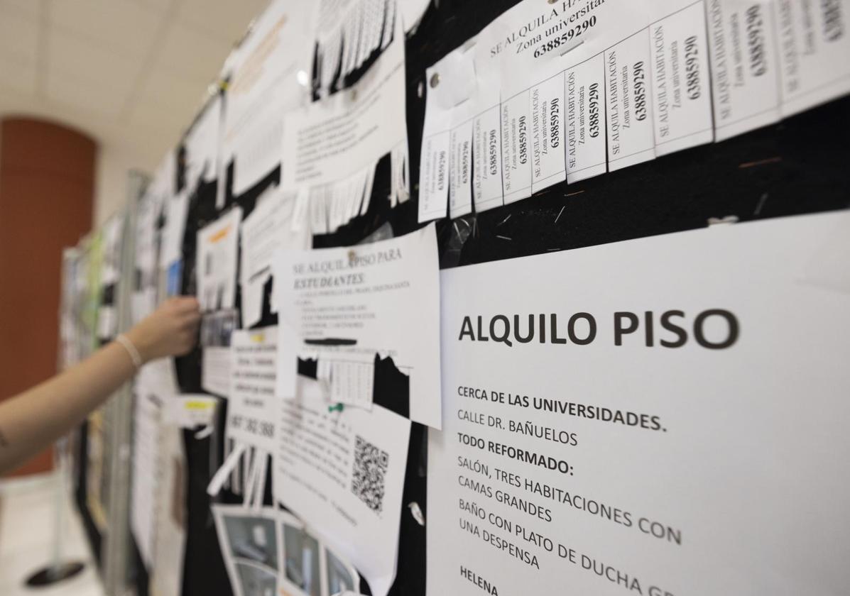 Anuncios de alquiler de pisos en un tablón de la Universidad de Valladolid.