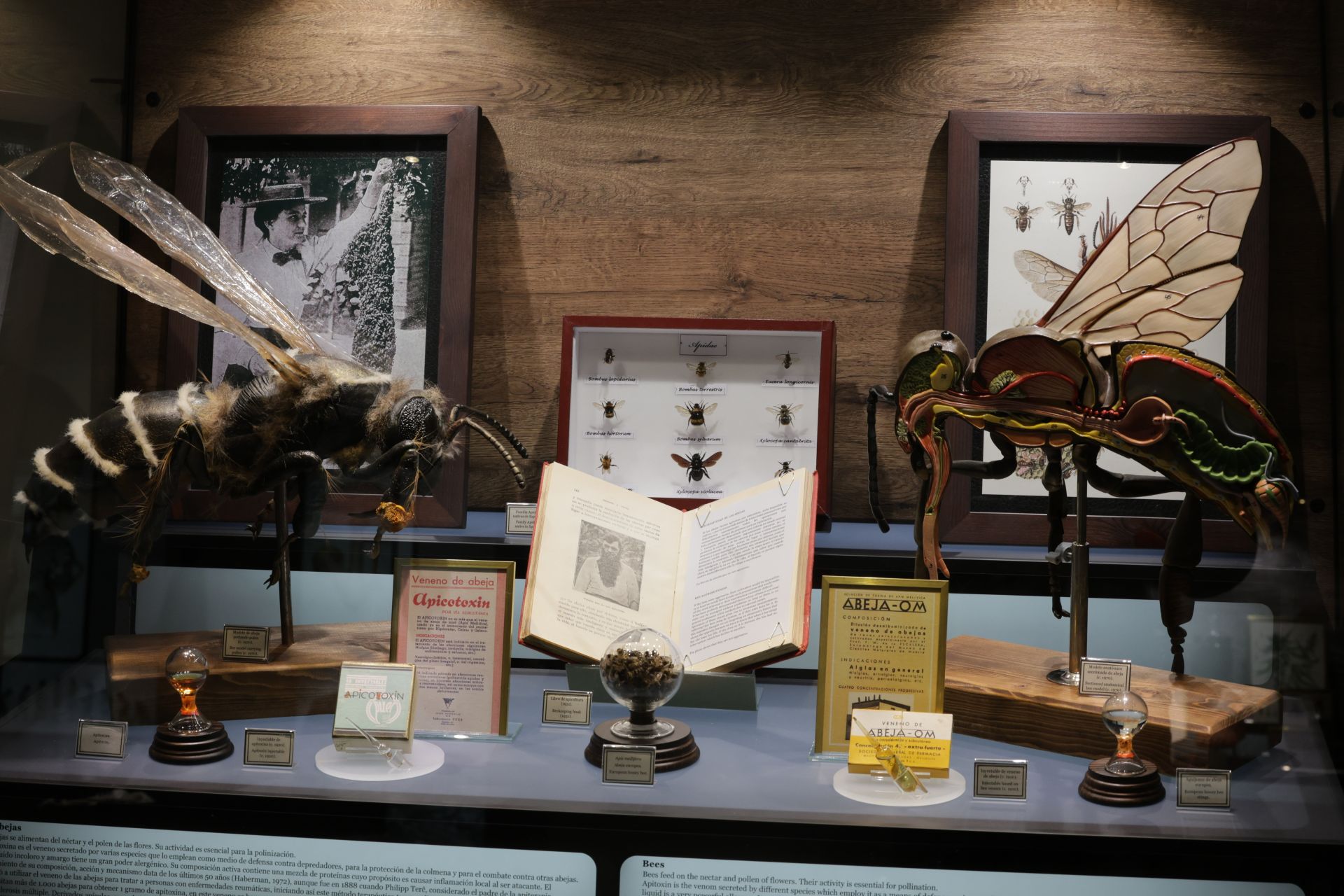 Exposición sobre venenos en el Museo de la Ciencia de Valladolid