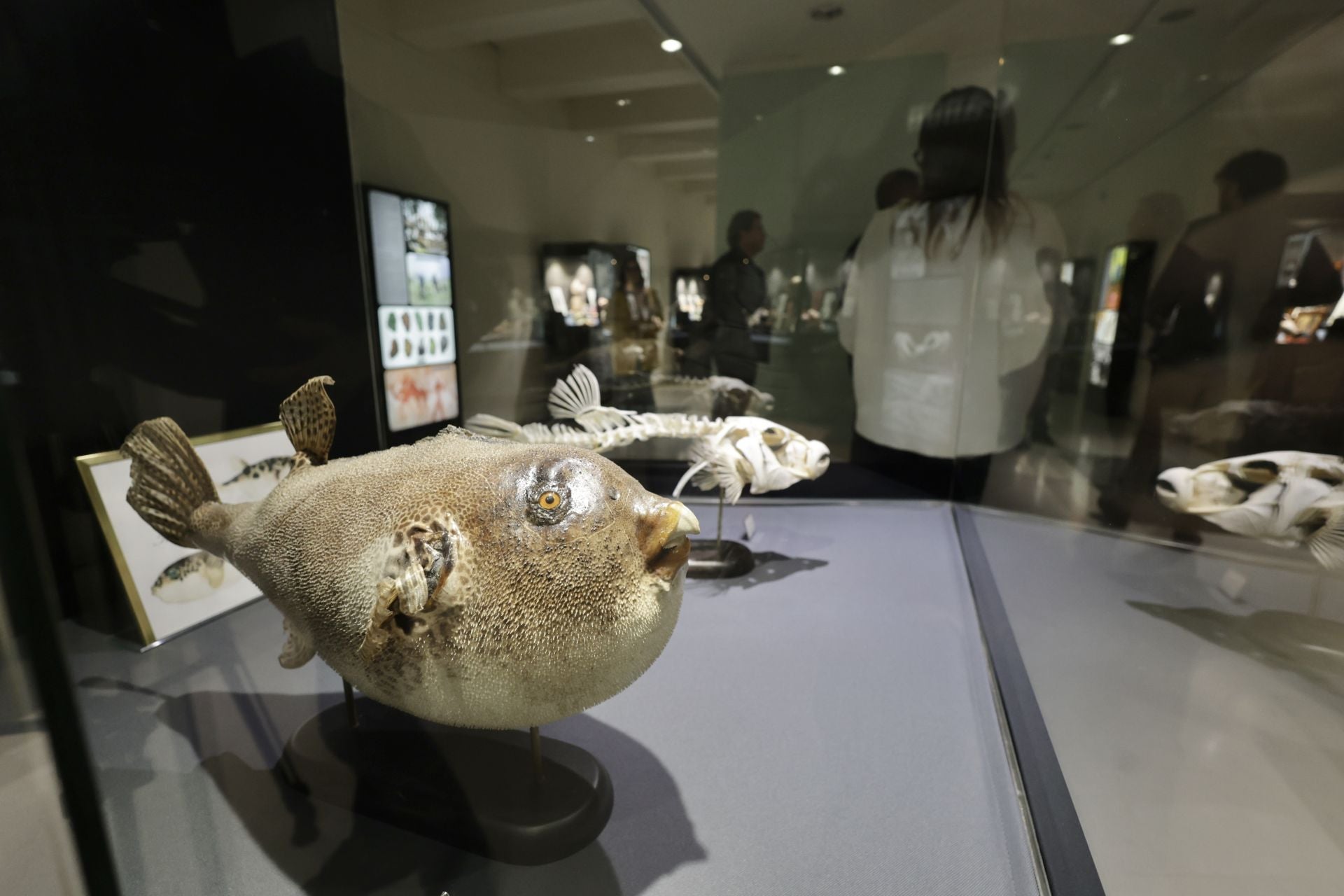 Exposición sobre venenos en el Museo de la Ciencia de Valladolid
