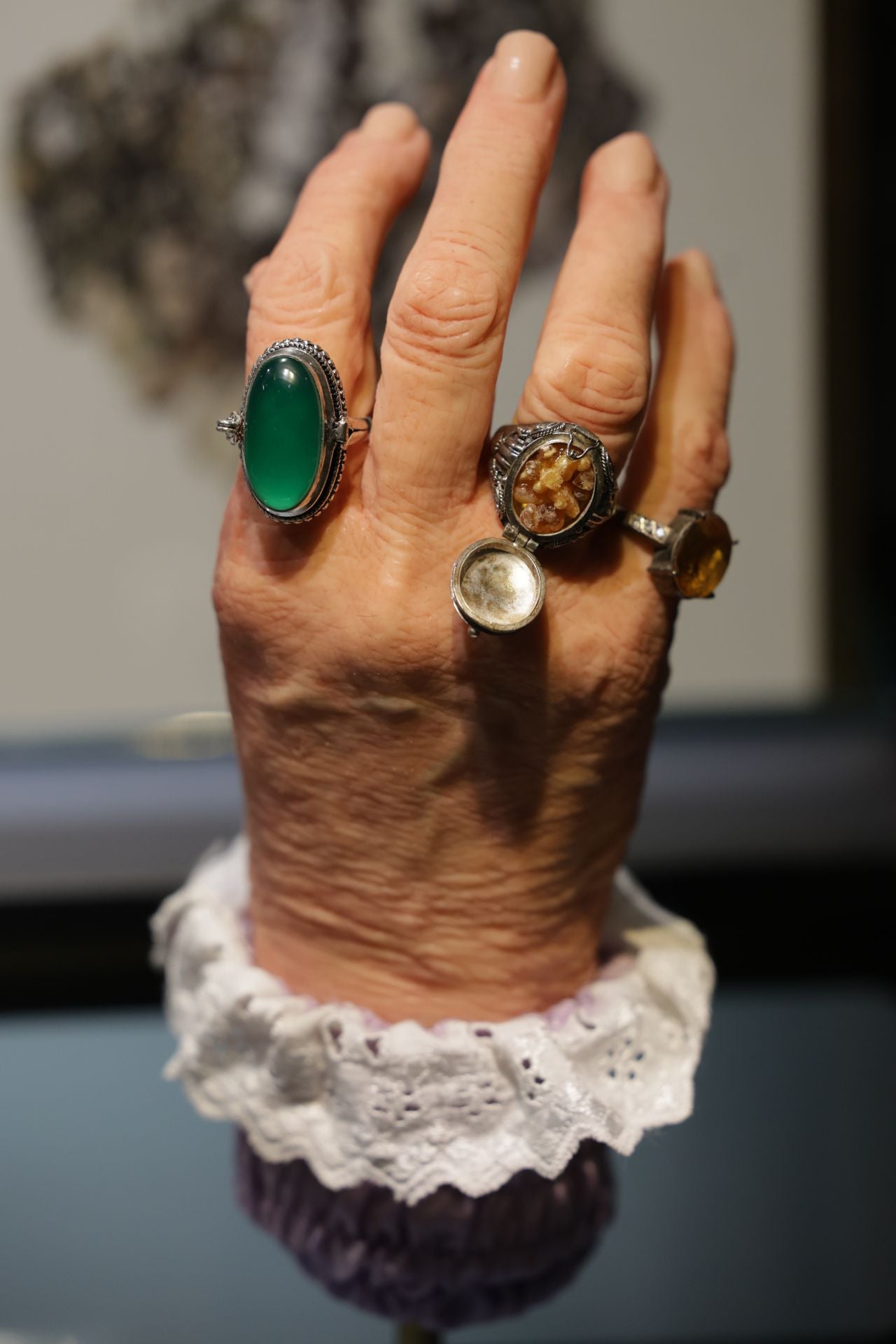 Exposición sobre venenos en el Museo de la Ciencia de Valladolid