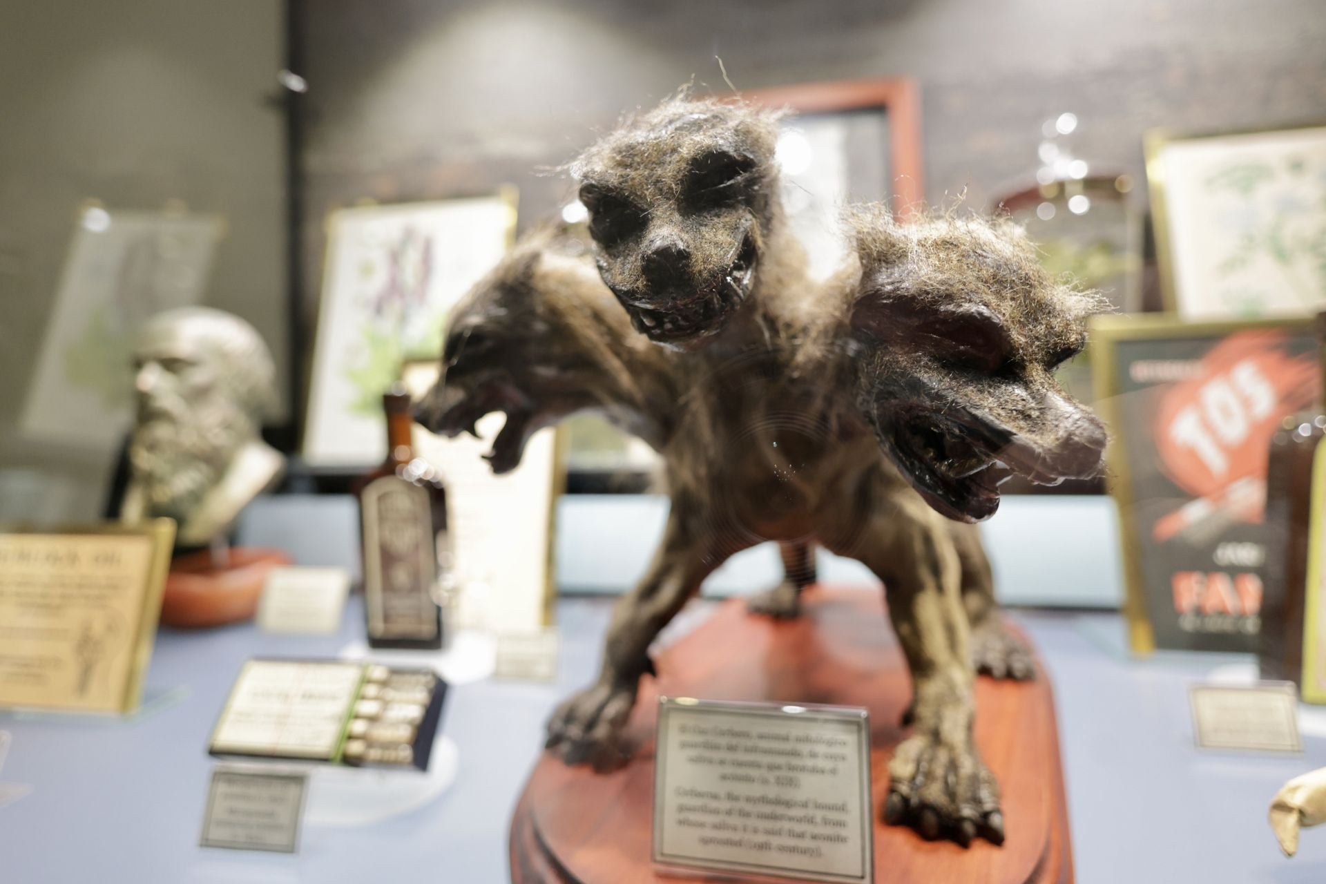 Exposición sobre venenos en el Museo de la Ciencia de Valladolid