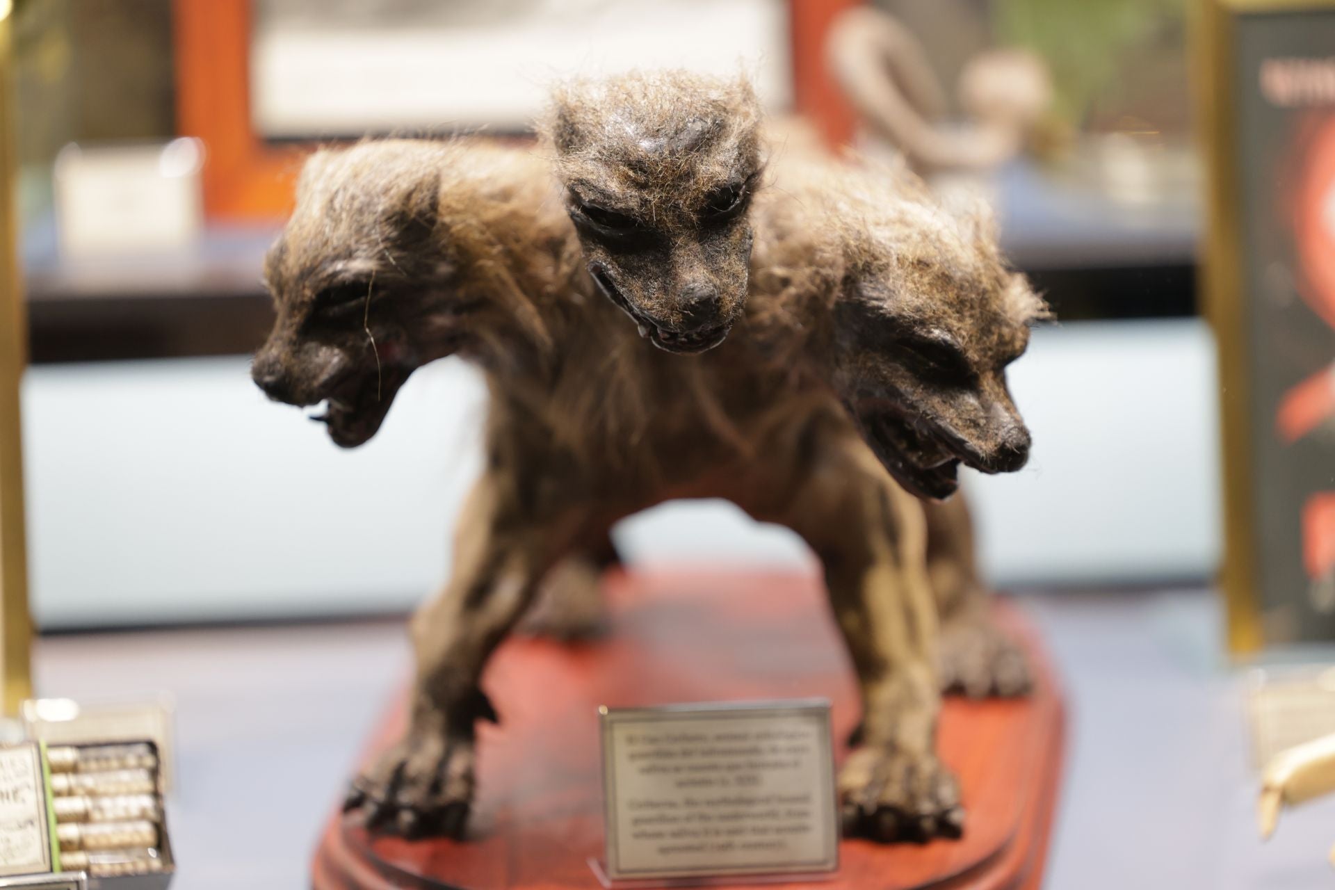 Exposición sobre venenos en el Museo de la Ciencia de Valladolid