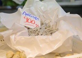 Angulas en venta en una pescadería.