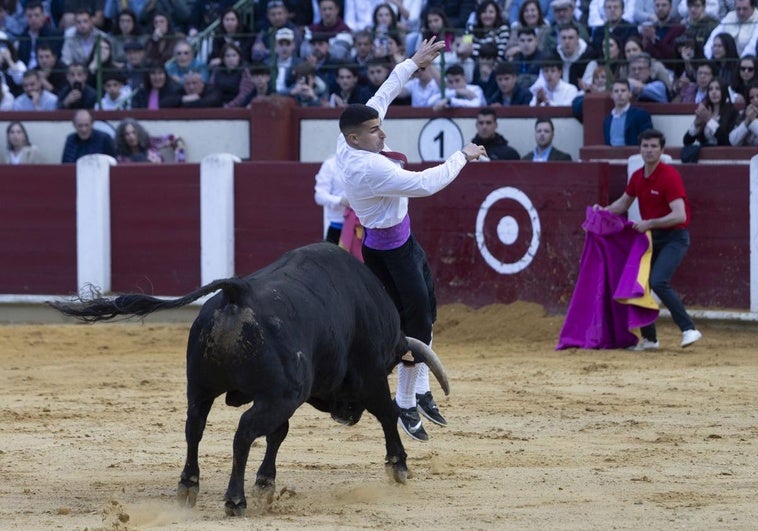 Las imágenes de la final de Cortes