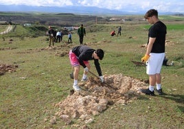 Participantes en la plantación popular en el Peñigoso