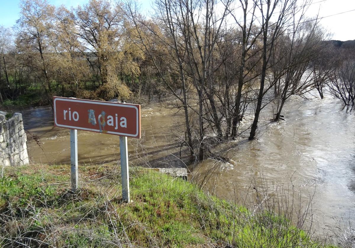 El Adaja, entre los términos de Villanueva y Valladolid, en una imagen de las últimas crecidas.