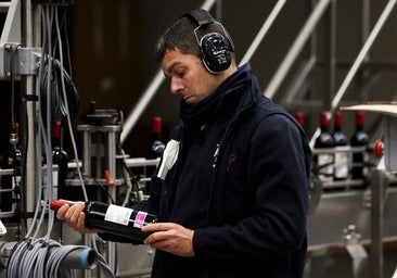 La subida del vino por los aranceles de Trump: 10 dólares más la botella