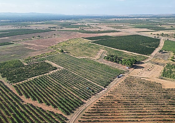Acuerdo para simplificar los trámites administrativos en las concentraciones parcelarias