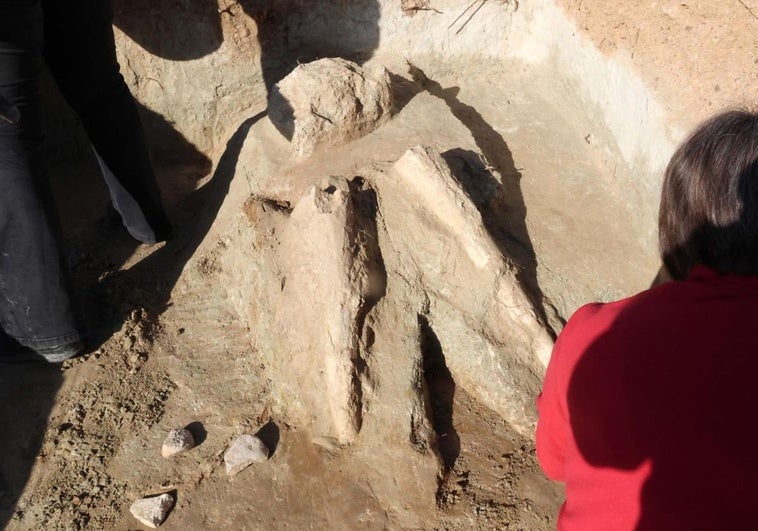 Arqueólogos y restauradores inician las labores de protección de las tres piezas de mastodonte halladas para su posterior extracción.