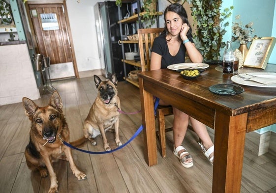 Restaurante que permite la presencia de mascotas en el interior, en imagen de archivo.
