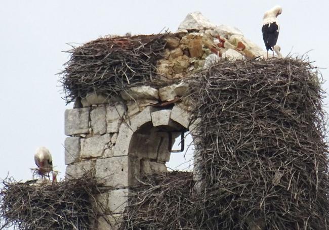 Detalle de la parte superior de la espadaña, repleta de nidos de cigüeñas, en la que se aprecia cómo la piedra central, o clave, del arco está a punto de desprenderse.