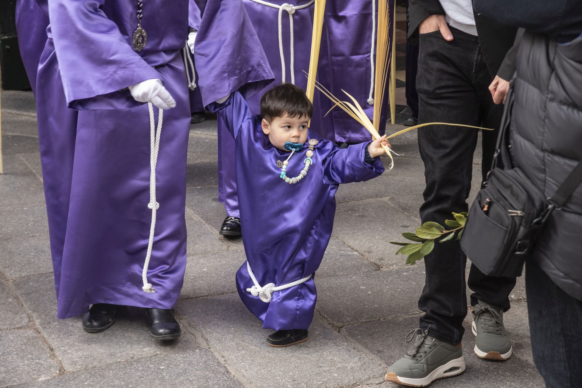 La procesión del Domingo de Ramos, en imágenes