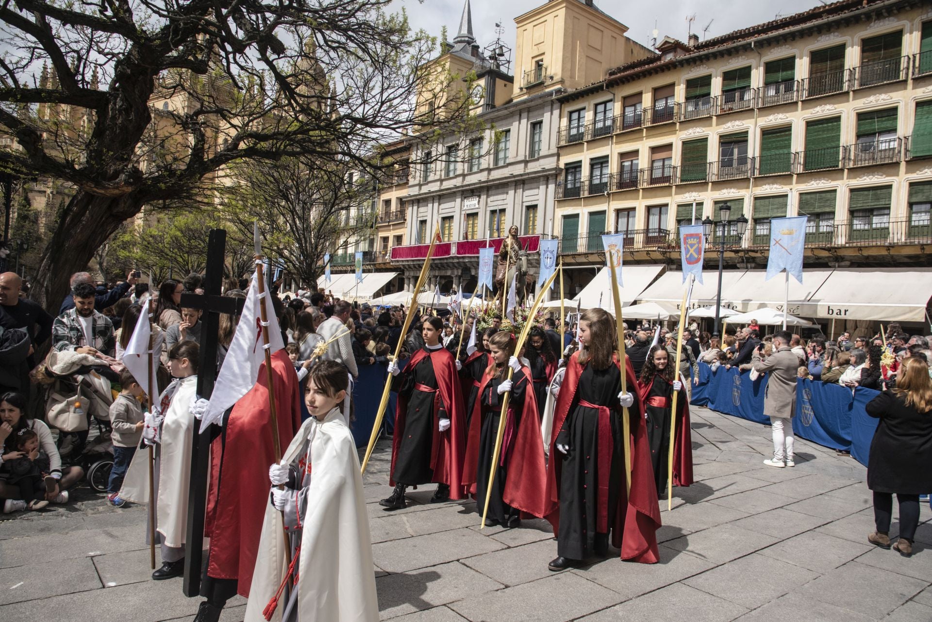 La procesión del Domingo de Ramos, en imágenes