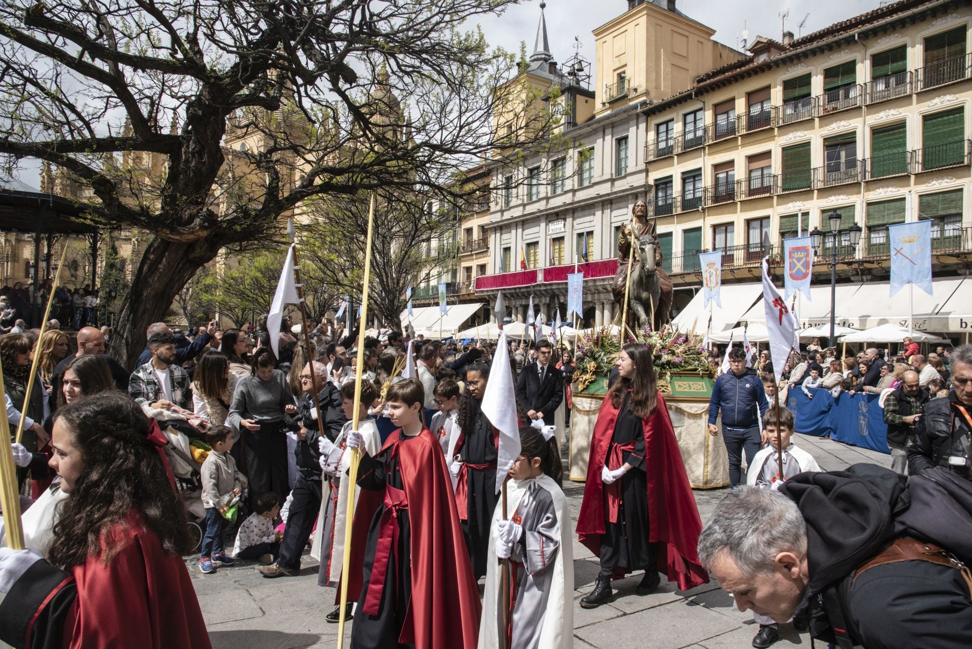 La procesión del Domingo de Ramos, en imágenes