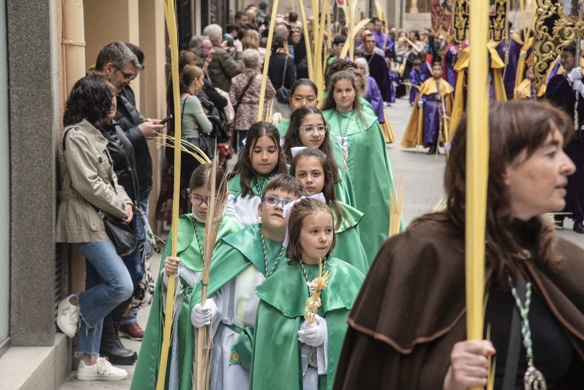 La procesión del Domingo de Ramos, en imágenes